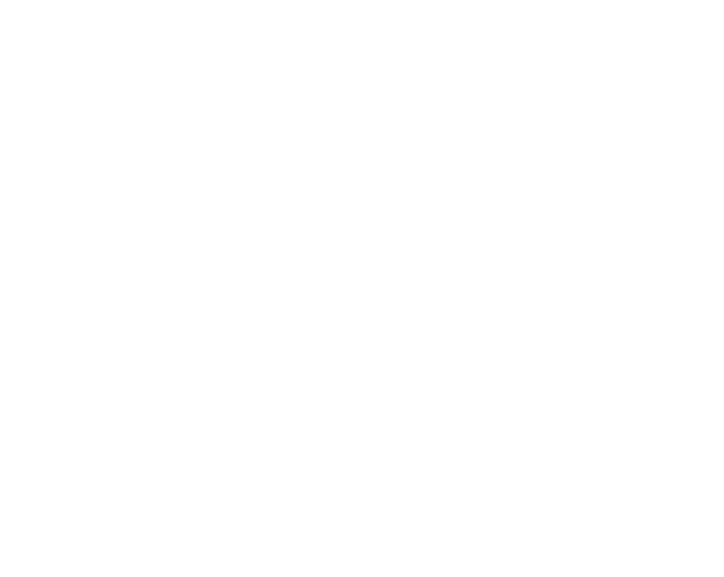 Logo Google Meet